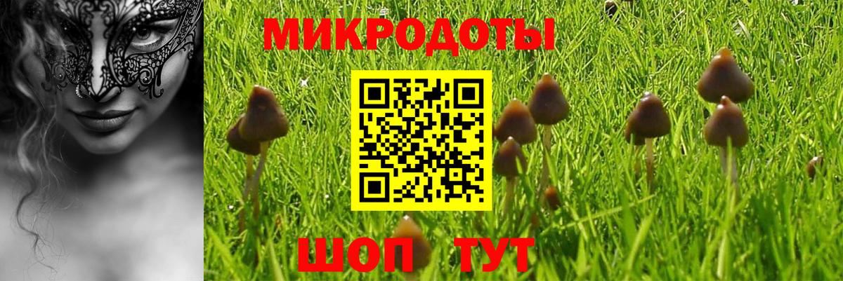 Долгопрудный  закладки  Вход с VPN  Псилоцибиновые грибы Cubensis 
